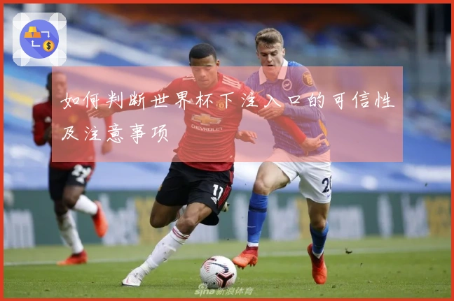 如何判断世界杯下注入口的可信性及注意事项