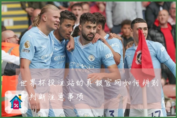 世界杯投注站的真假官网如何辨别与判断注意事项