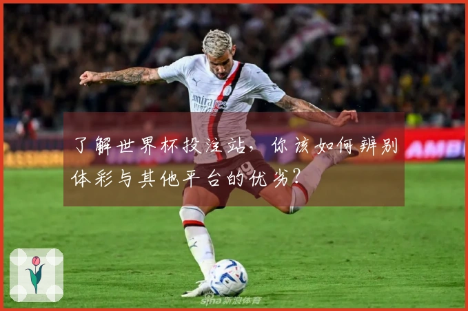 了解世界杯投注站，你该如何辨别体彩与其他平台的优劣？