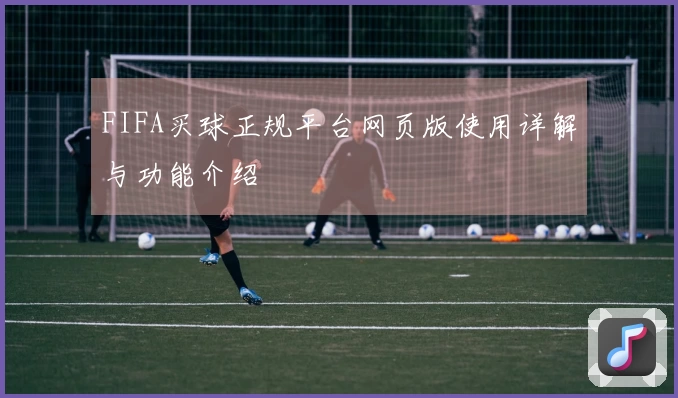 FIFA买球正规平台网页版使用详解与功能介绍