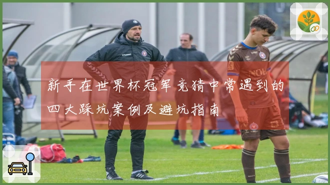 新手在世界杯冠军竞猜中常遇到的四大踩坑案例及避坑指南