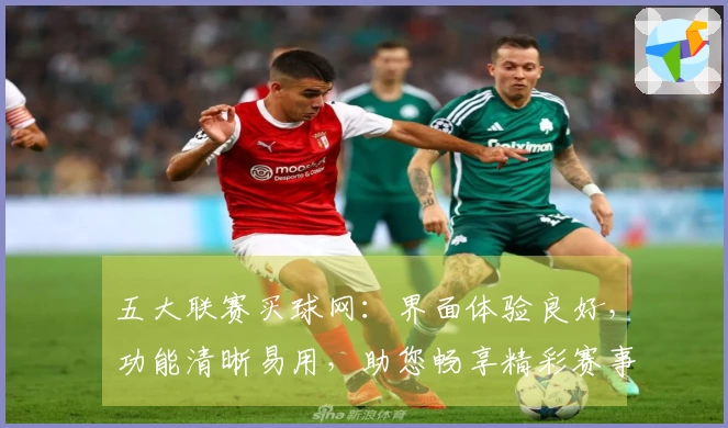 五大联赛买球网：界面体验良好，功能清晰易用，助您畅享精彩赛事